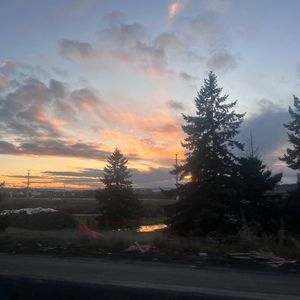 Meet your Posher, Alana